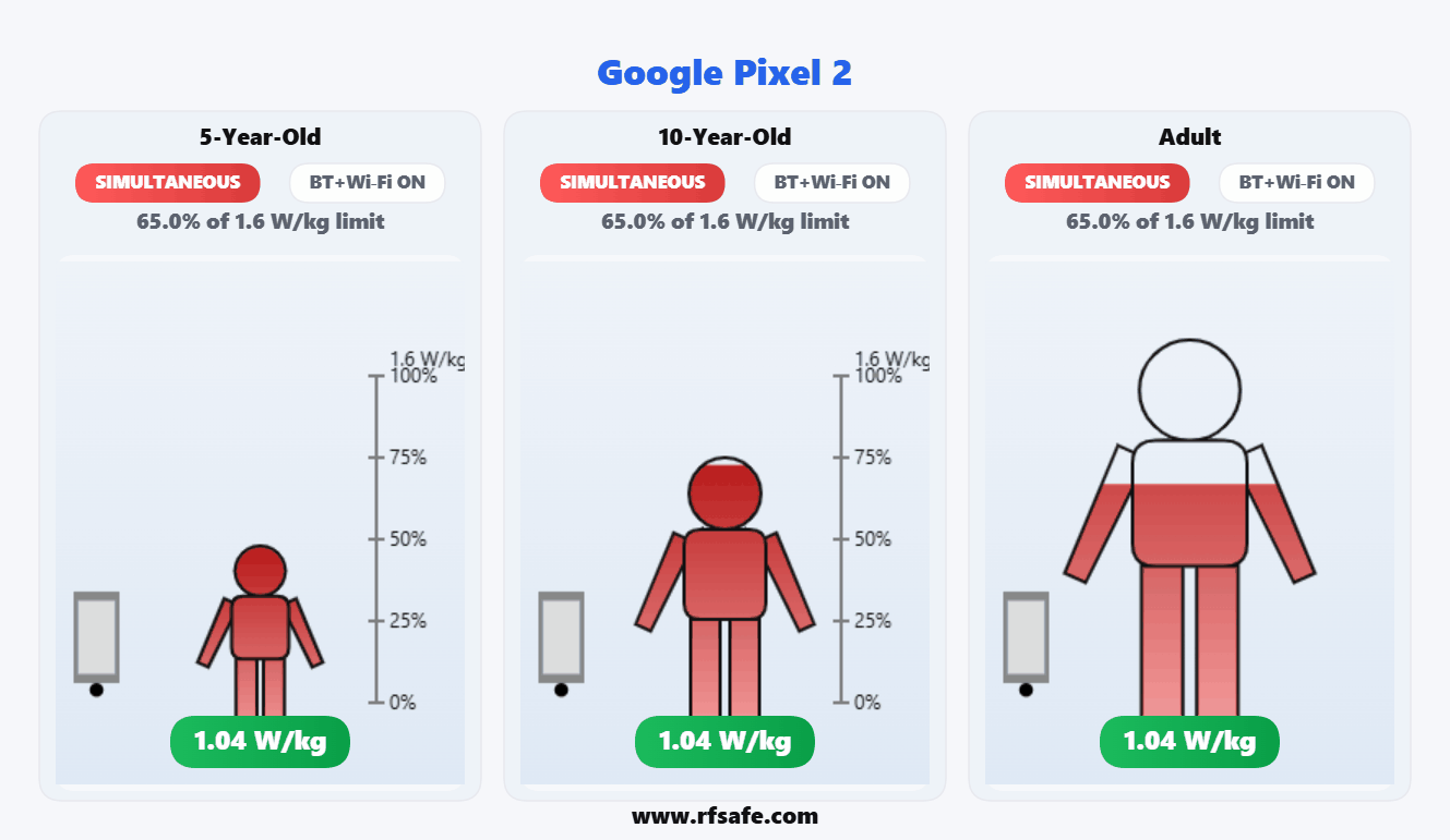 Google Pixel 2 — Body SAR (animated)